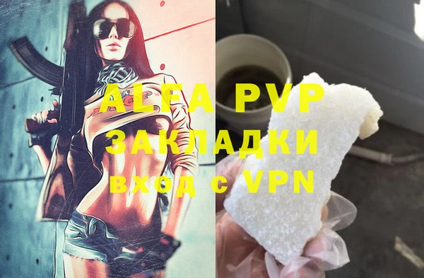 PSILOCYBIN Бородино