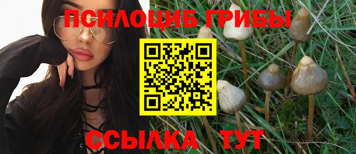 Свободный  Галлюциногенные грибы GOLDEN TEACHER  Вход с VPN 