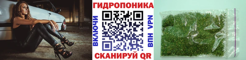 Конопля семена  как найти закладки  Свободный 
